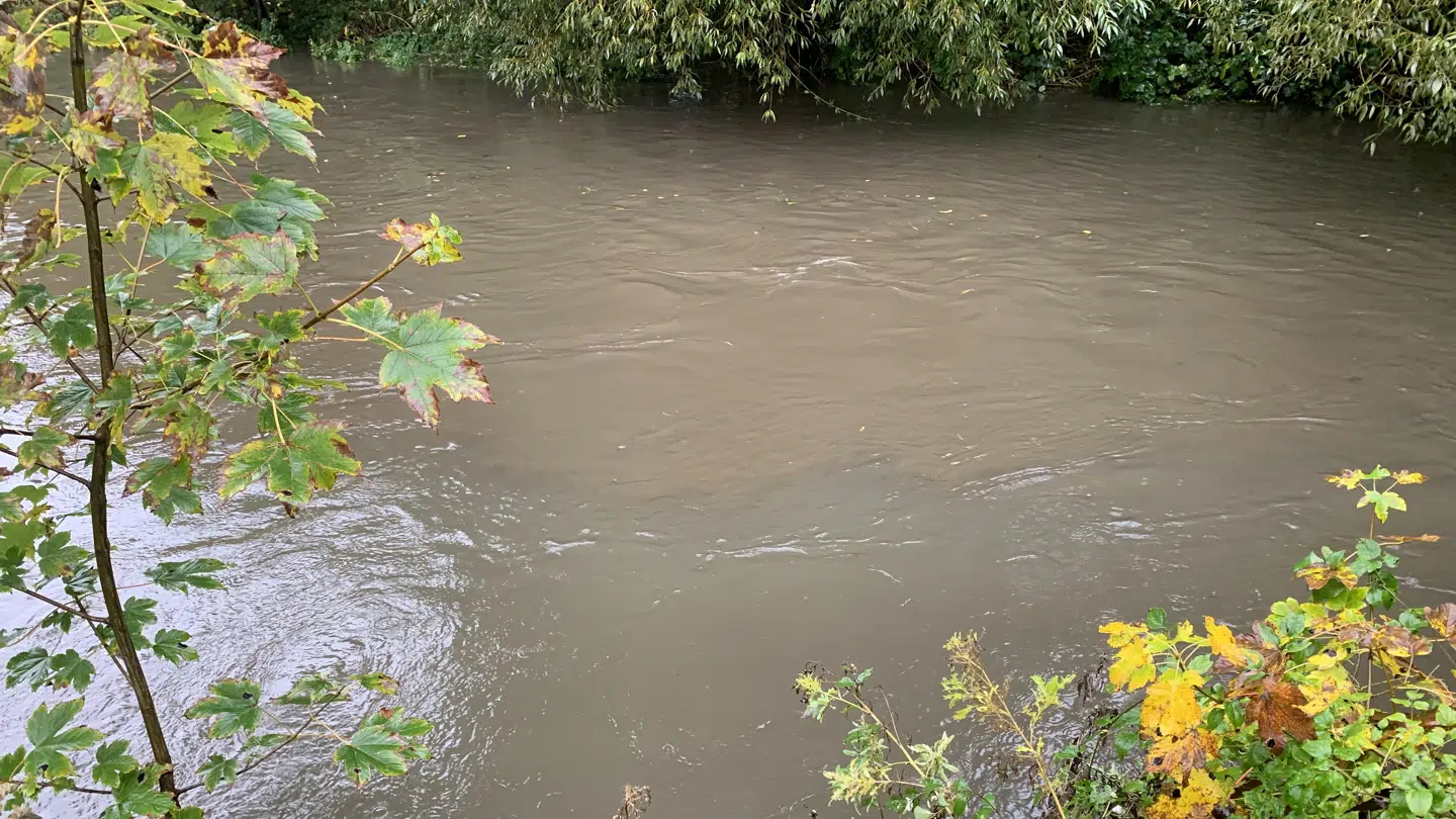 Arkivfoto fra Odense Å.