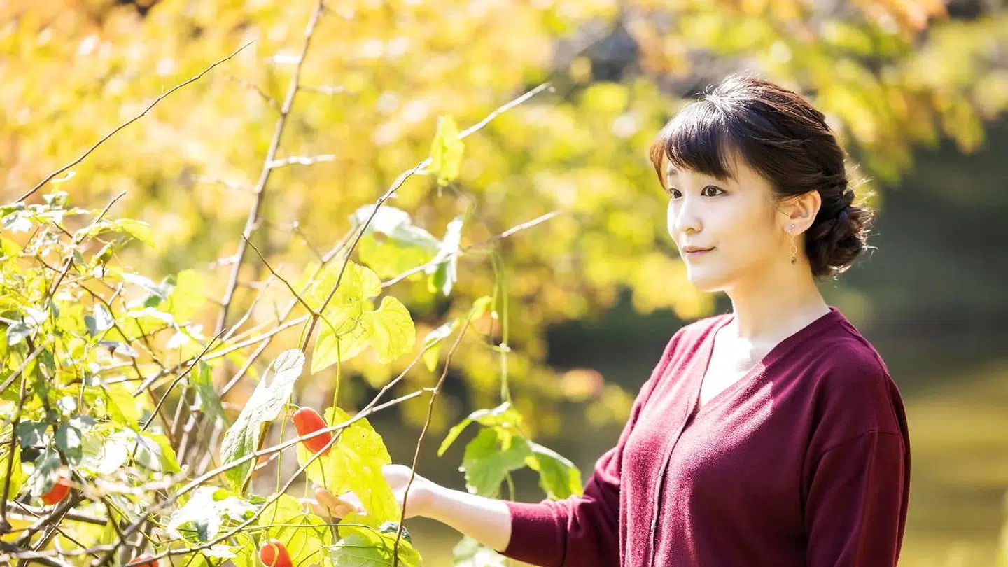 Prinsesse Mako får endelig sin mand, men prisen har været dyr, efter hun i forløbet har fået PTSD.