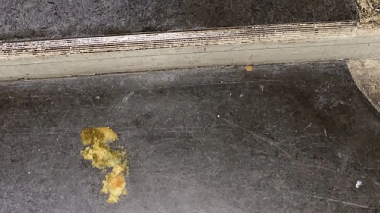 Der var bræk og afføring flere steder på blandt andet gulvet.