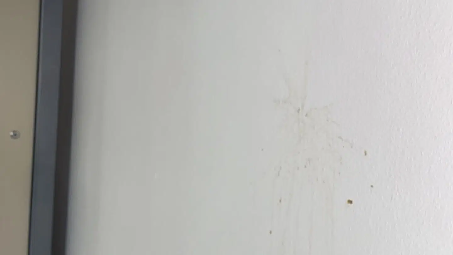 Flere steder var der bræk på væggene.