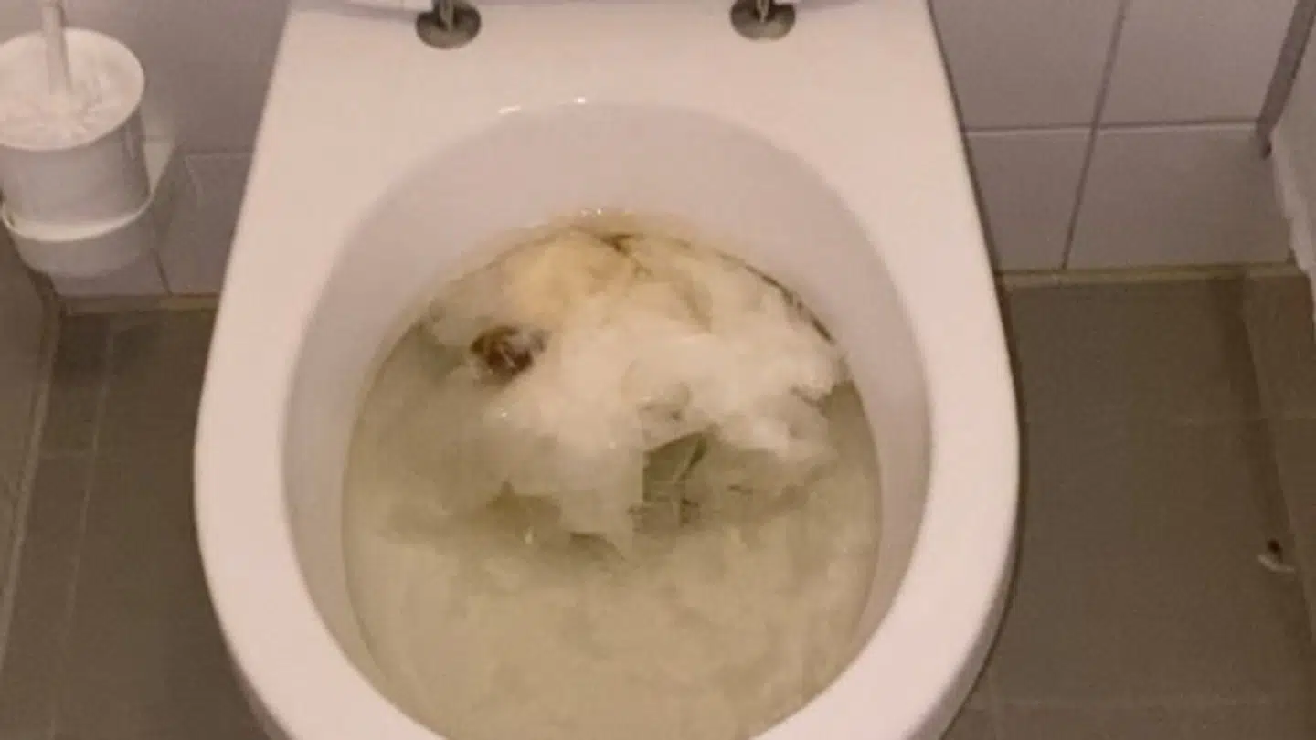 Sådan så flere af toiletterne ud.