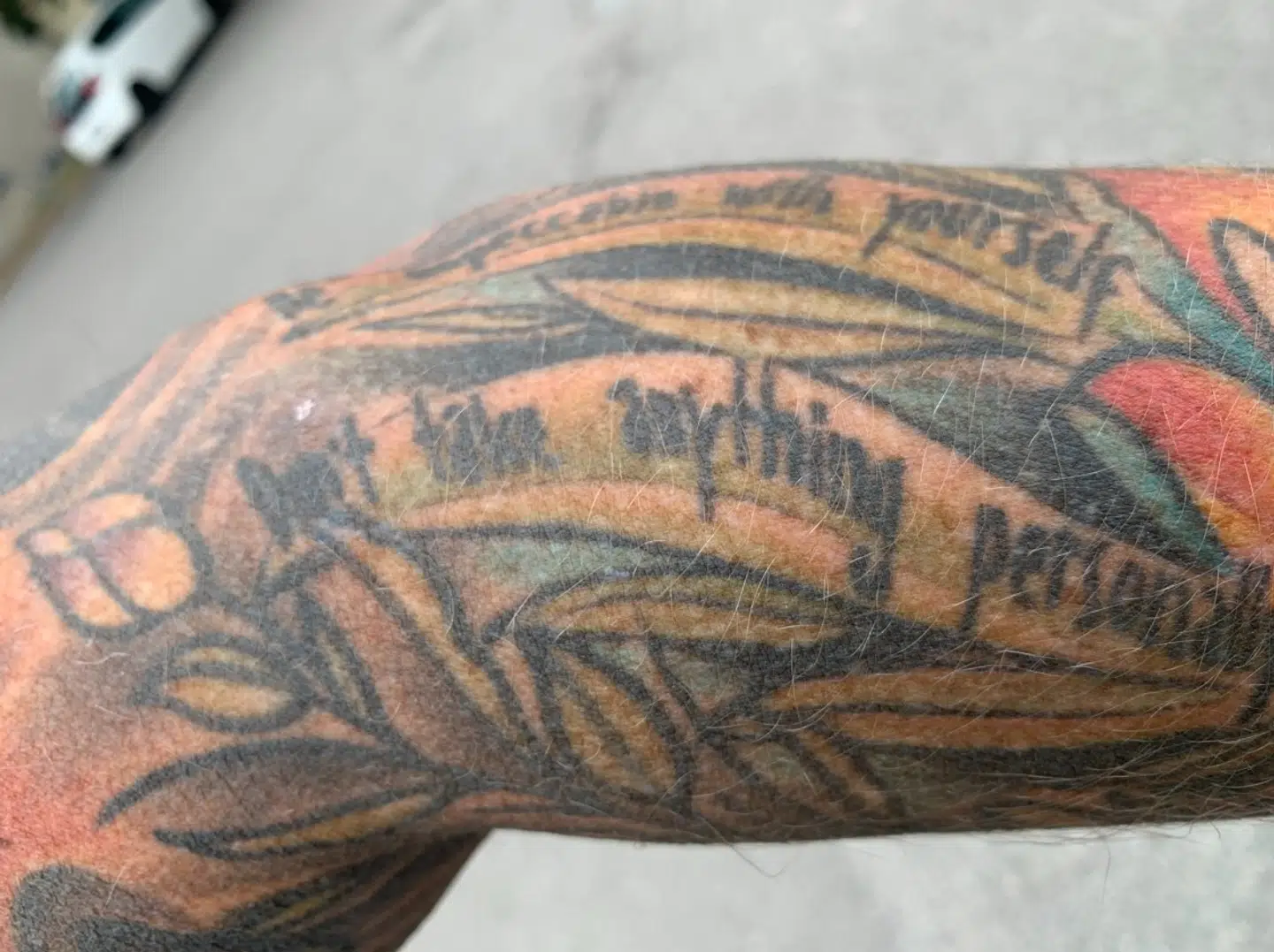 Foto: Jens Anton Havskov