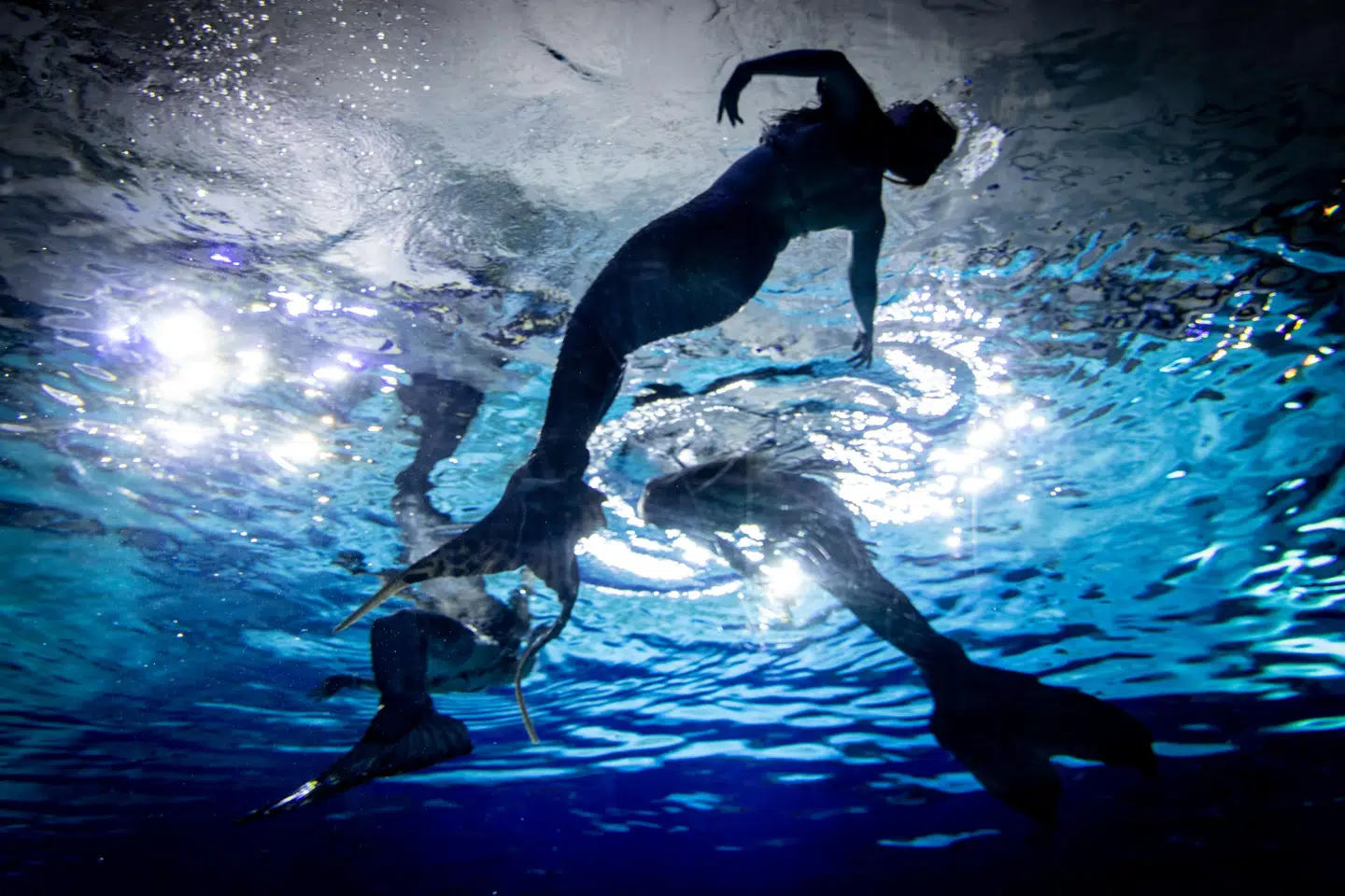 Havfruerne på Den Blå Planet.