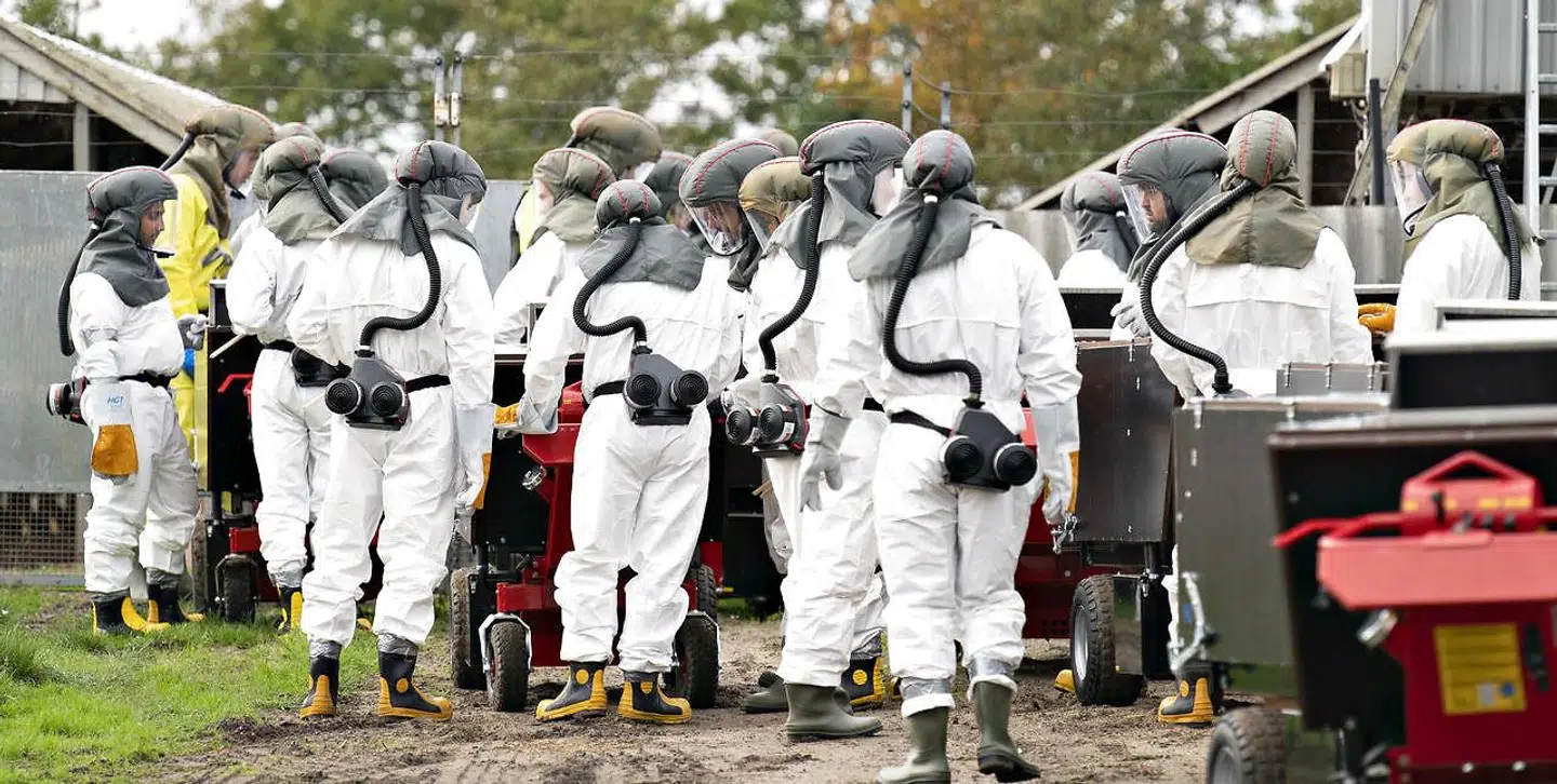 Billede fra oktober sidste år, hvor medarbejdere fra Fødevarestyrelsen og Beredskabsstyrelsen aflivede mink på en farm i Gjøl