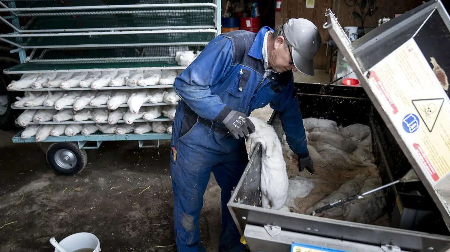 Folketingets advokatundersøgelse revser Rigspolitiet i forbindelse med anvendelsen af det såkaldte actioncard under aflivningen af danske mink.