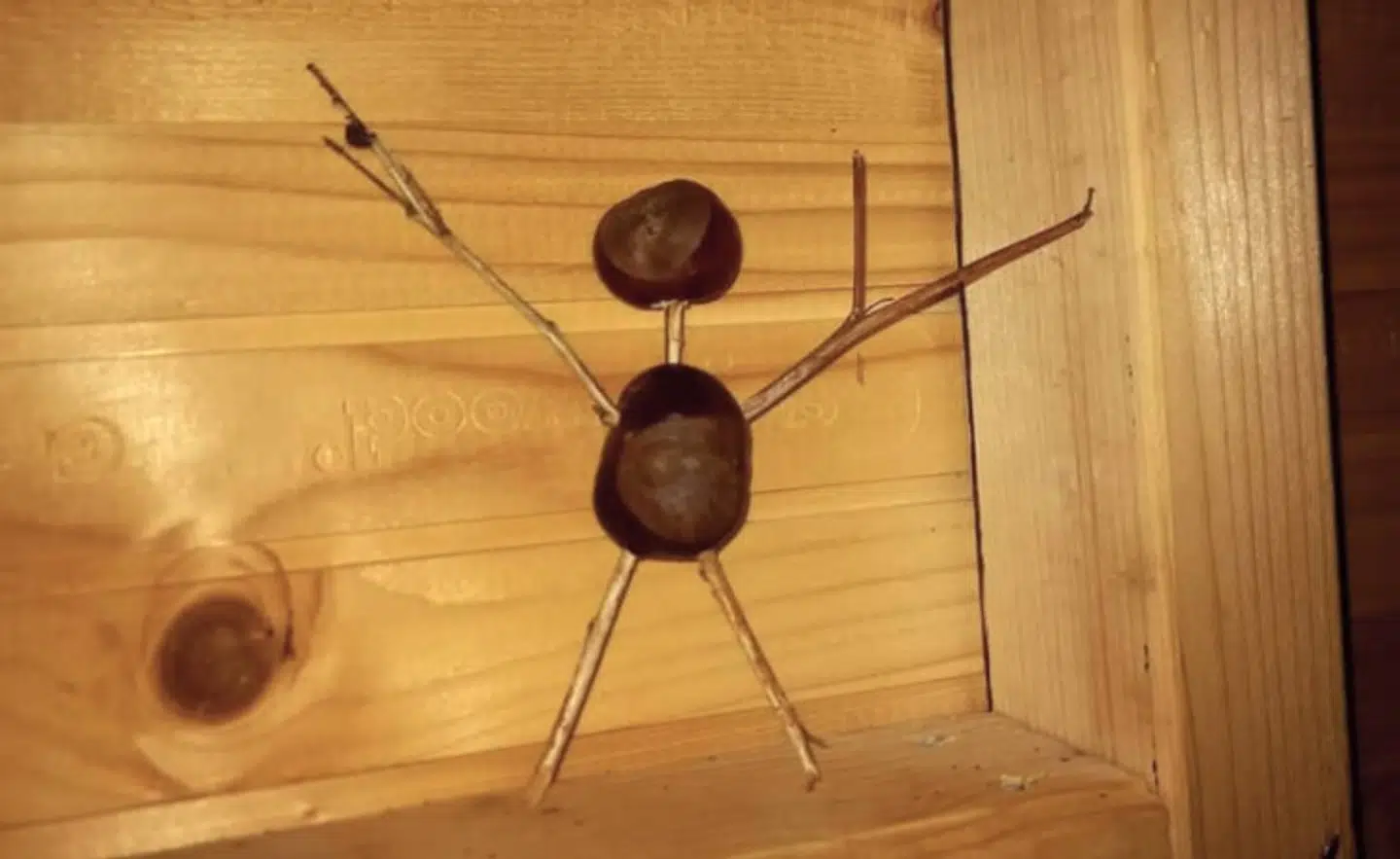 Louise Kristine Rishøjs kæreste havde placeret i alt to kastanjemand i hendes shelter.