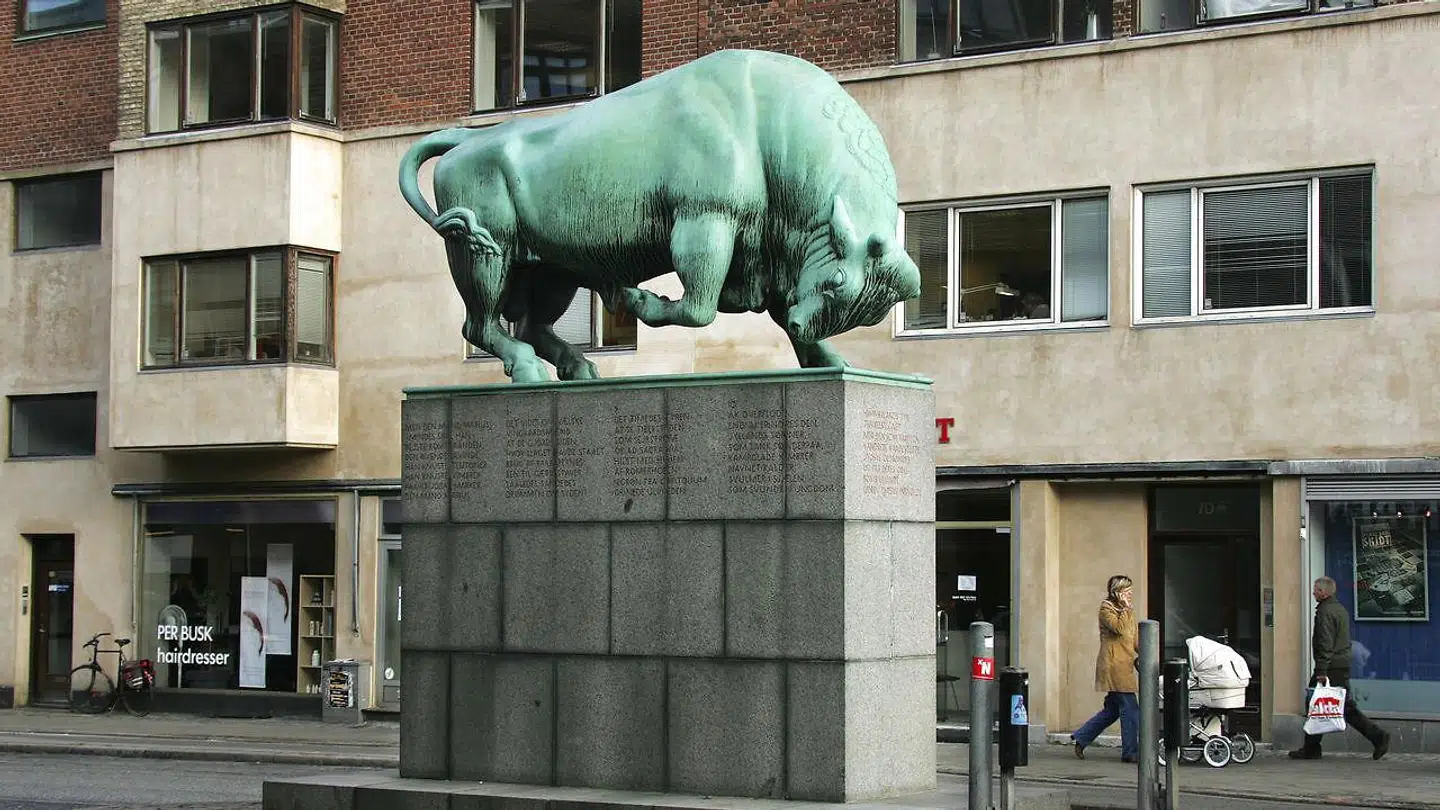 Tyren vender røvhullet mod nord af en grund, mener Beate Sørensen.