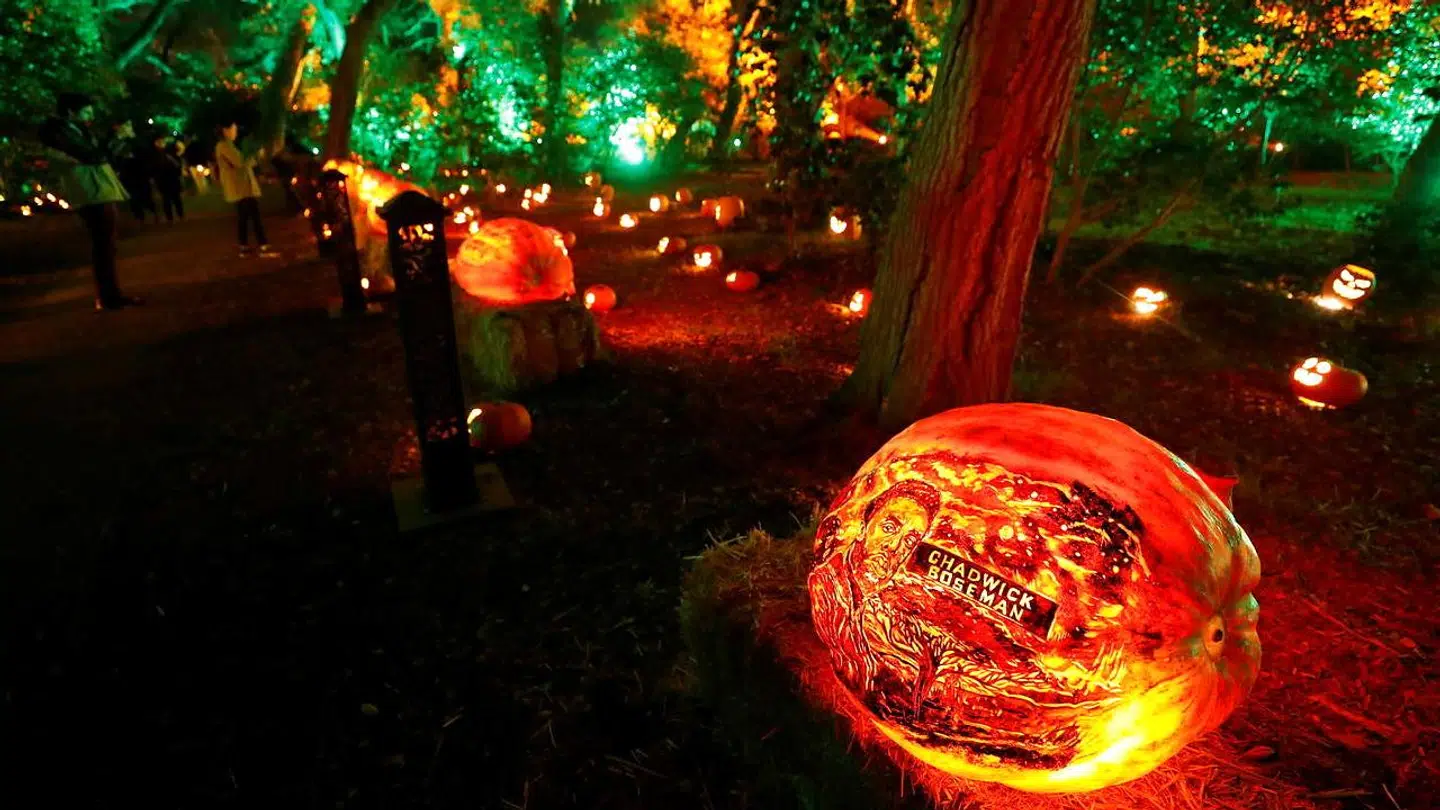 Mange steder står den på halloween i efterårsferien. Genrefoto.