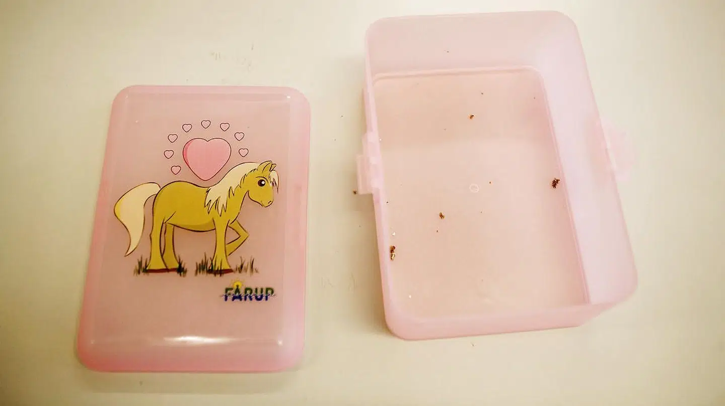 Kristoffer Hjort Storm vil have sat fokus på kosten på kommunens skoler.