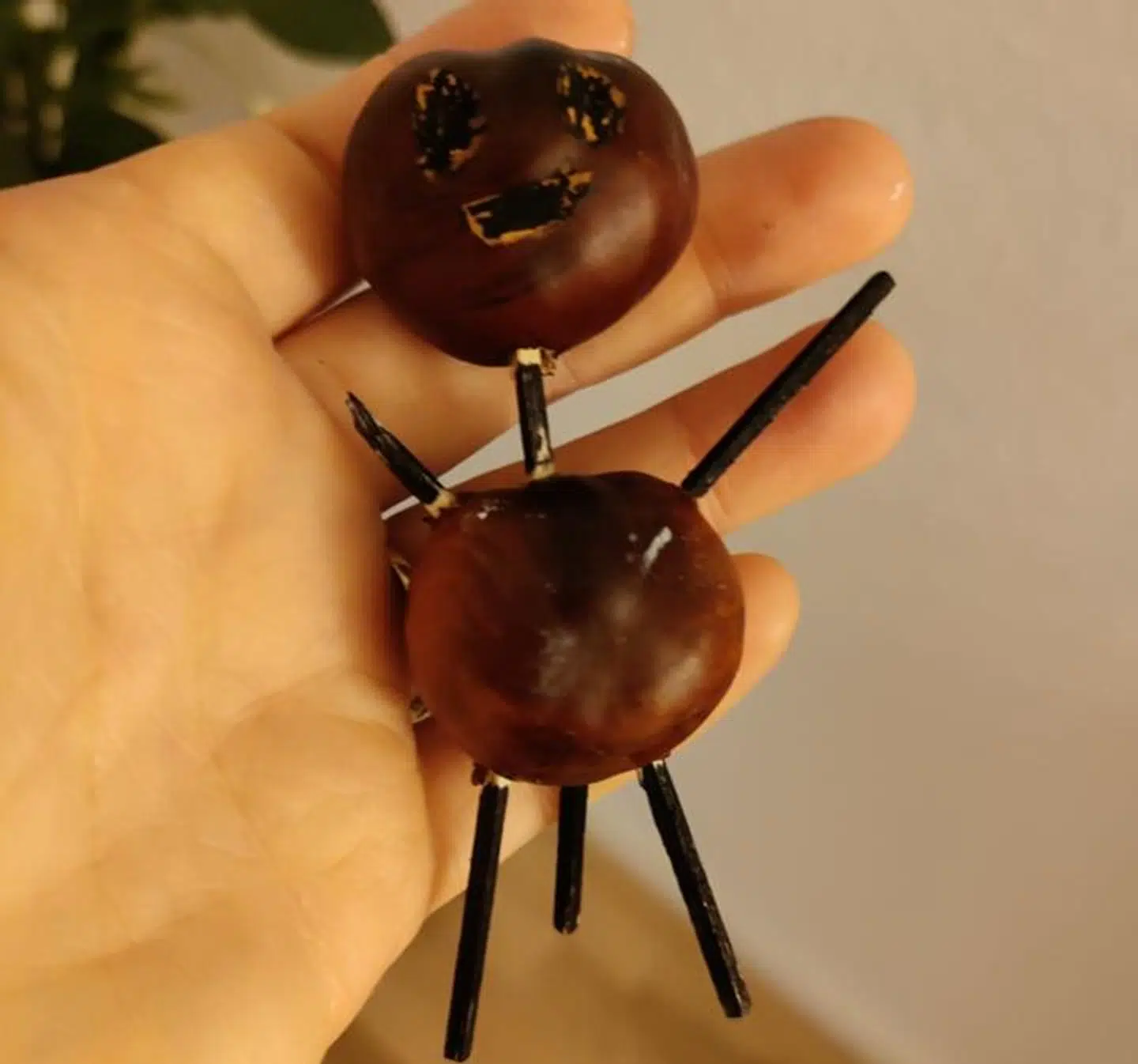 Her er kastanjemanden, som mødte Enya derhjemme