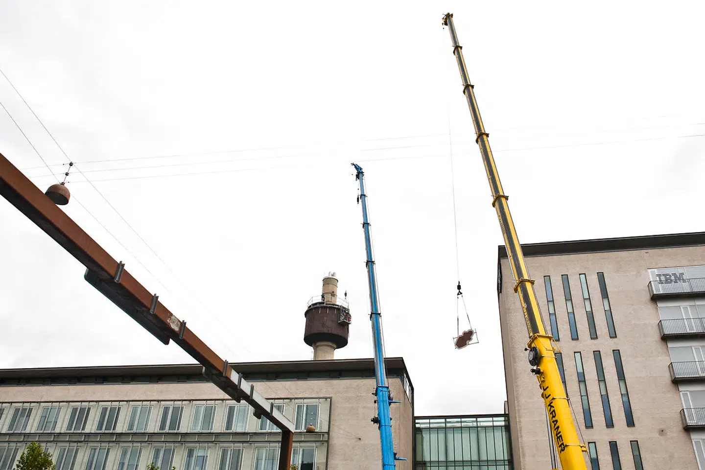 De kendte Toms chokoladefabrik frøer blev lørdag d. 26. september pillet ned ved Vibenhus runddel.