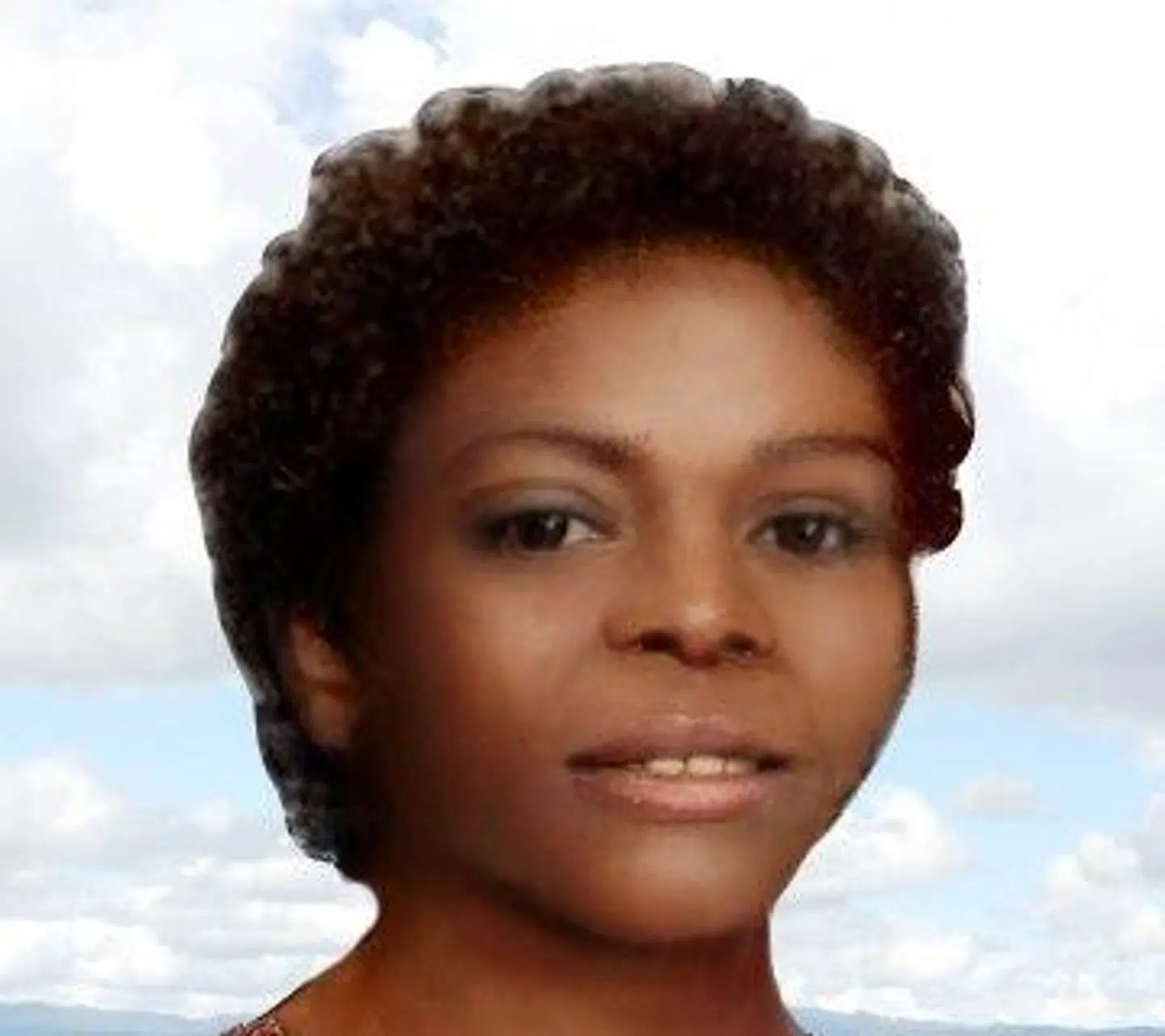 Den tegnede kvinde er blevet navngivet Jane Seneca Doe, men det er ikke hendes rigtige navn. Man håber dog snart på at finde det efter mere end 45 år