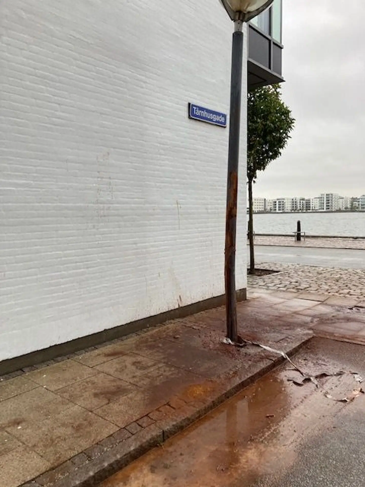 Sådan så det ud foran Ejerforeningen Promenaden efter en 25-års fødselsdagsfejring i weekenden. Fødselaren blev tøjlet til en lygtepæl og fik hældt flere spande kanel udover sig.