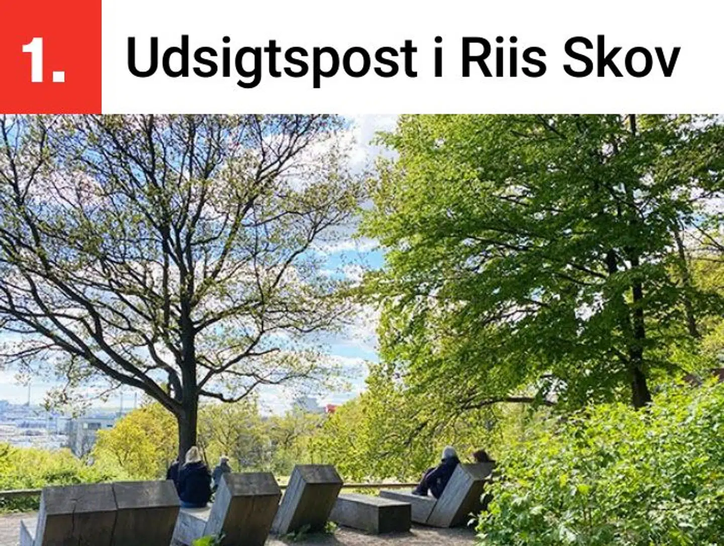 Borgmesteren tager sommetider et hvil på sin løbetur her.