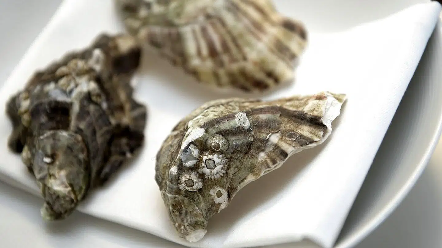 Hvor i verden, du spiser Michelinmad, har stor betydning for, hvor meget du må slippe.