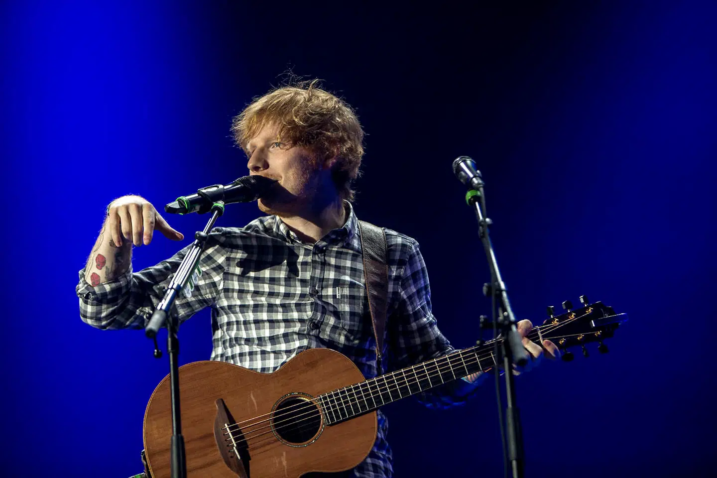 Ed Sheeran har tidligere blandt andet spillet i Tusindårsskoven i Odense og i Forum i København. her ses han i Forum.