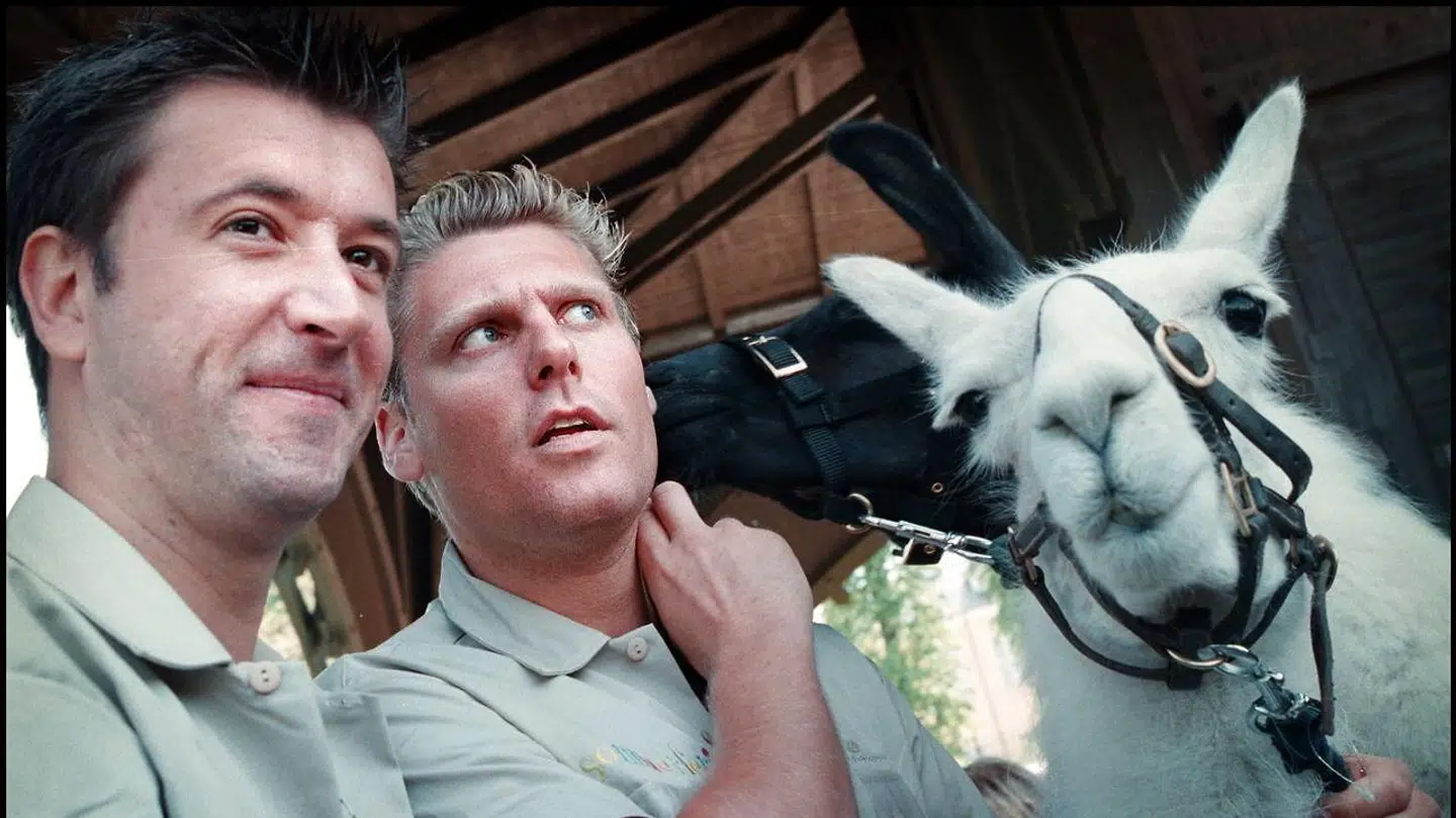 Komikerduoen Timm og Gordon var et kæmpe hit i 90'erne. De startede med et sketchshow i 'Transit', og fortsatte med sketchshowet 'Vladimir og Kennedy' og tv-quizzen 'Tab og vind med Gordon og Timm'. I 1997 var de hovedrollerne i kæmpefloppet 'Stjerner uden hjerner' - en film, der er blevet kåret til den dårligste danske film nogensinde, og som både Timm Vladimir og Gordon Kennedy forsøgte at komme ud af deres kontrakt på undervejs.