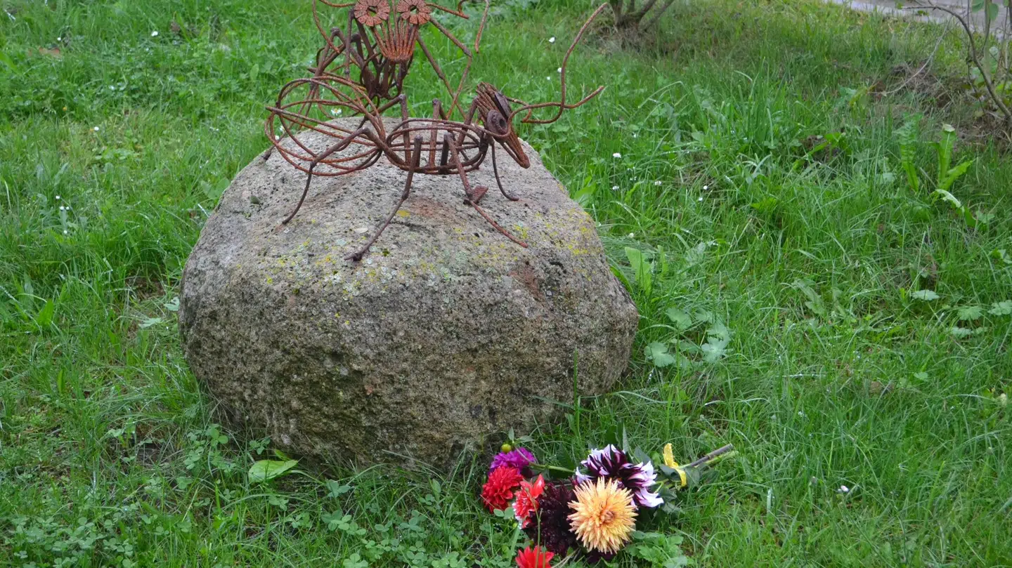 Nyborg Kommune afviser ansvar i sagen.