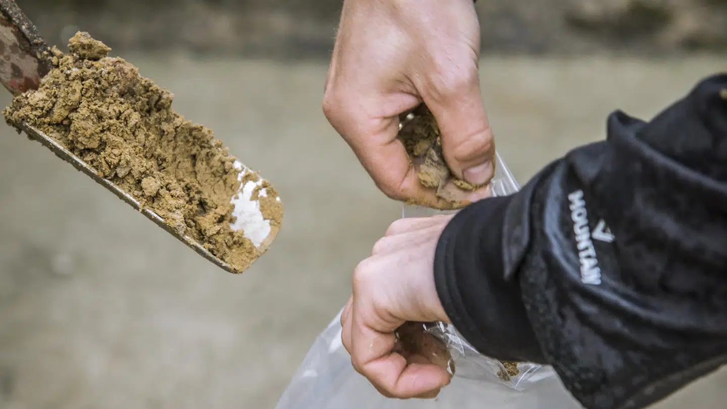 Regionen tester for 271 foskellige pesticidstoffer.