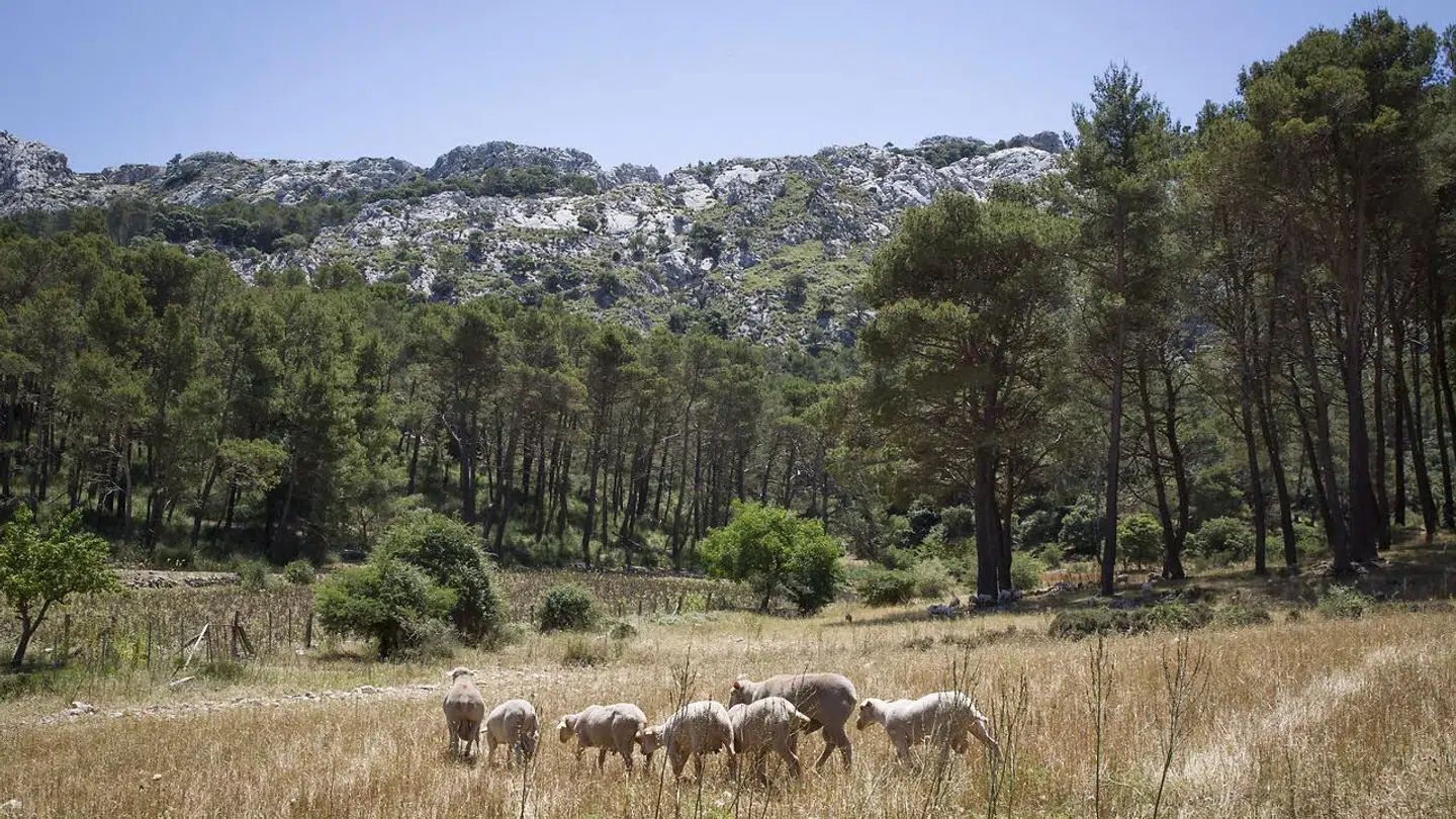 To unge er omkommet i en klatreulykke på det sydøstlige Mallorca. Arkivfoto.