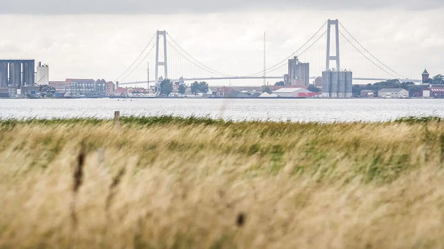Den her forurenede mark i Korsør satte gang i undersøgelsen af PFOS. Her er der nemlig fundet forhøjede grænseværdier af stoffet i borgere fra Korsør, efter de har spist kød fra kalve, som græsser på den forurenede mark.