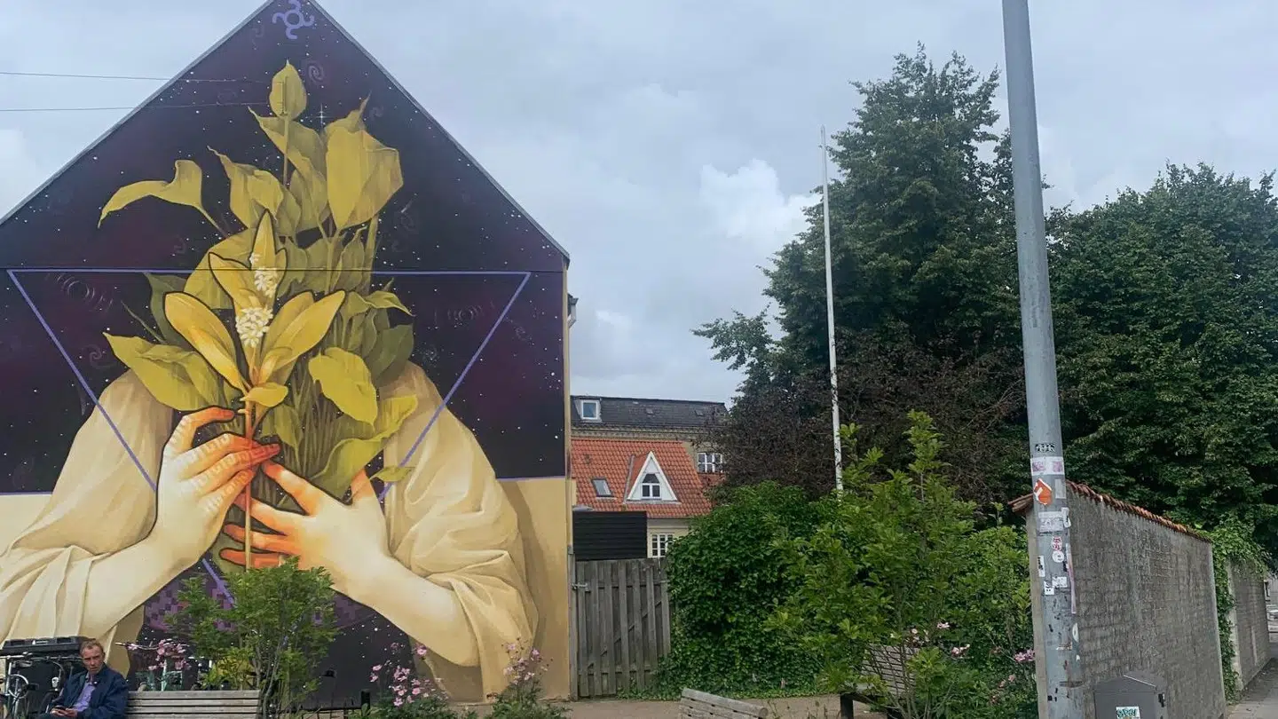 Et af Aalborgs gavlmalerier ved enden af Nørregade og Løkkegade.