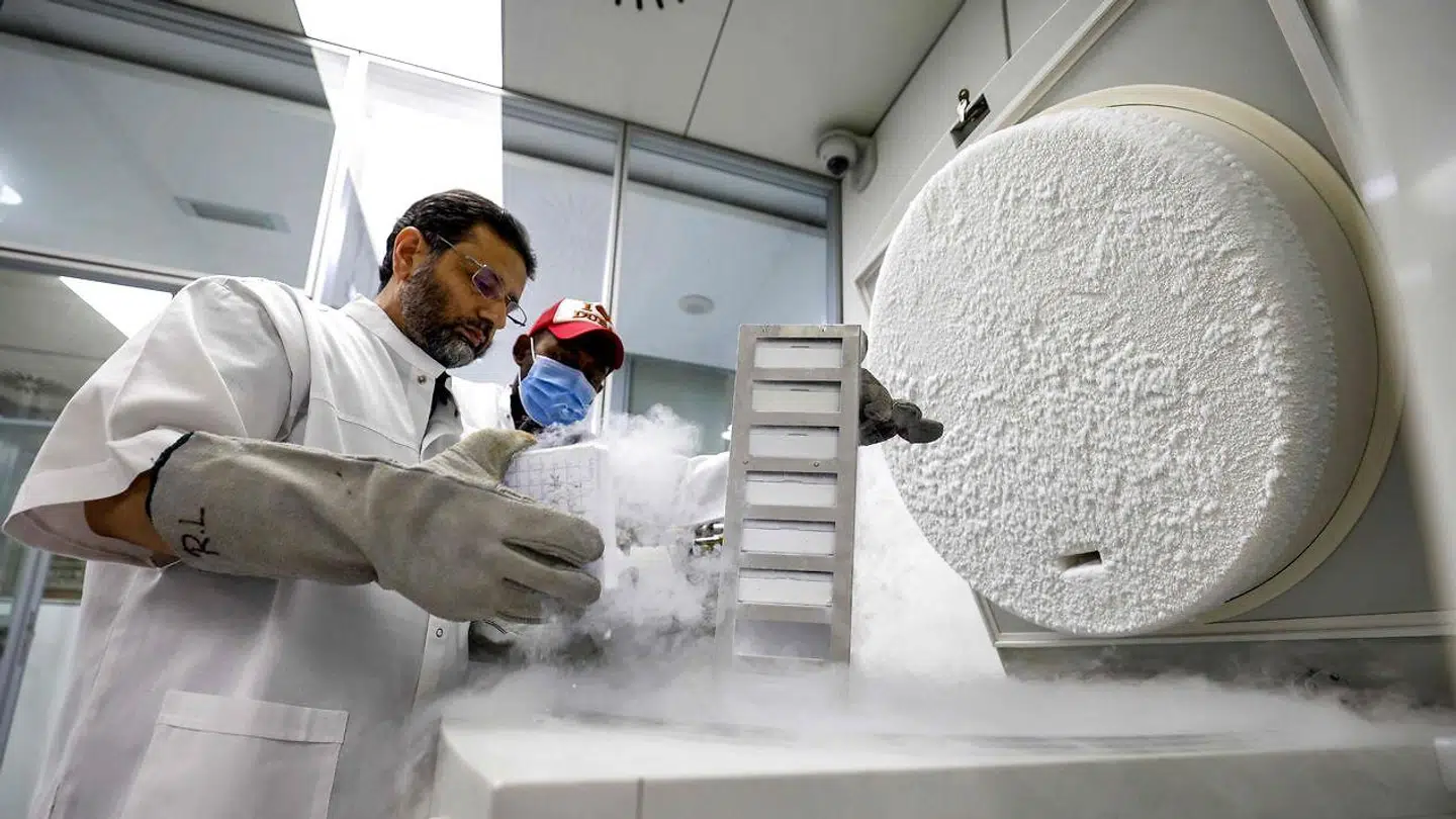 Dr. Nisar Ahmad Wani tjekker frosen DNA, der skal blive til kloner.