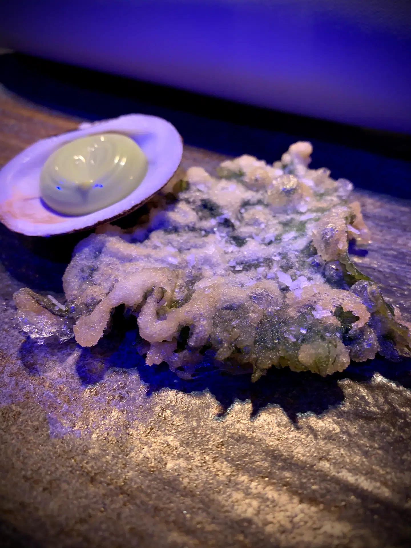 Restaurant Fusions luksuriøse menu 'Omakase by Vinh', der er en 25 retters forestilling på 3-4 timer bejler til en stjerne, mender madanmelder Rasmus Palsgård.