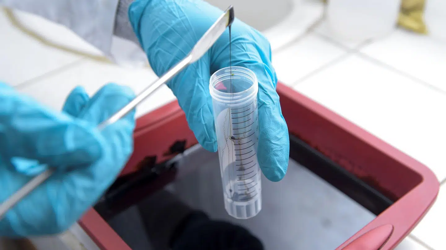 De 28 millioner kroner kommer fra en bred vifte af private investorer. Billedet stammer ikke fra Qntm Labs.