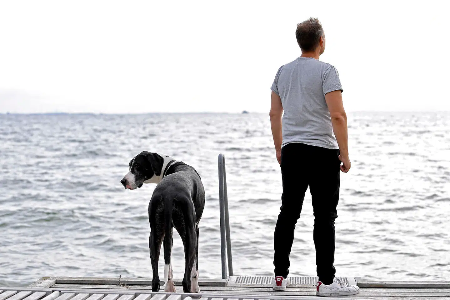 I modsætning til sin barndom har Martin Thorborg i dag i den grad råd til at bo ved vandet. Her nyder han udsigten sammen med sin granddanois.