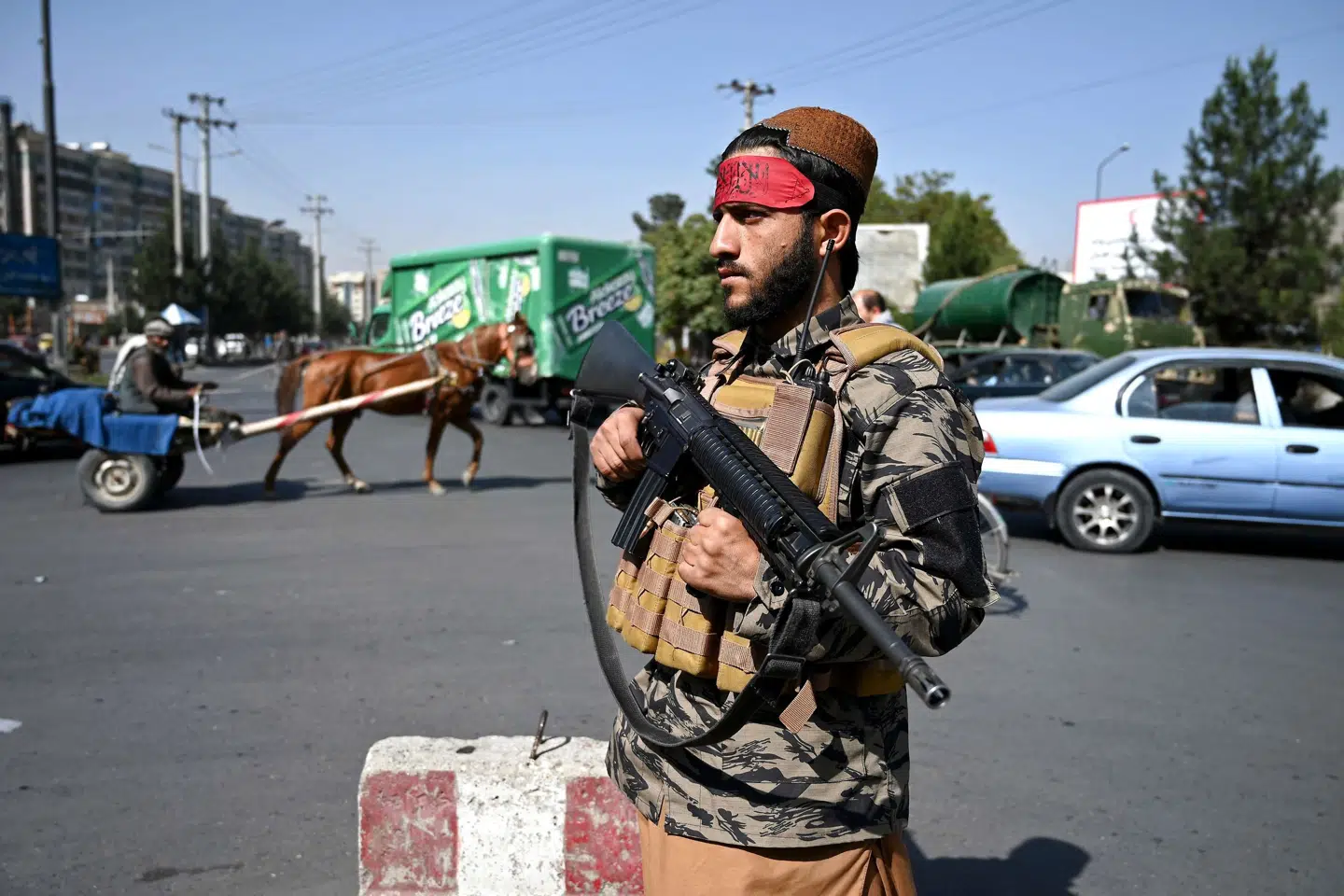 Efter at Taliban har overtaget magten i Afghanistan, risikerer millioner at ende i sult og fattigdom, advarer FN. (Arkivfoto) Wakil Kohsar/Ritzau Scanpix