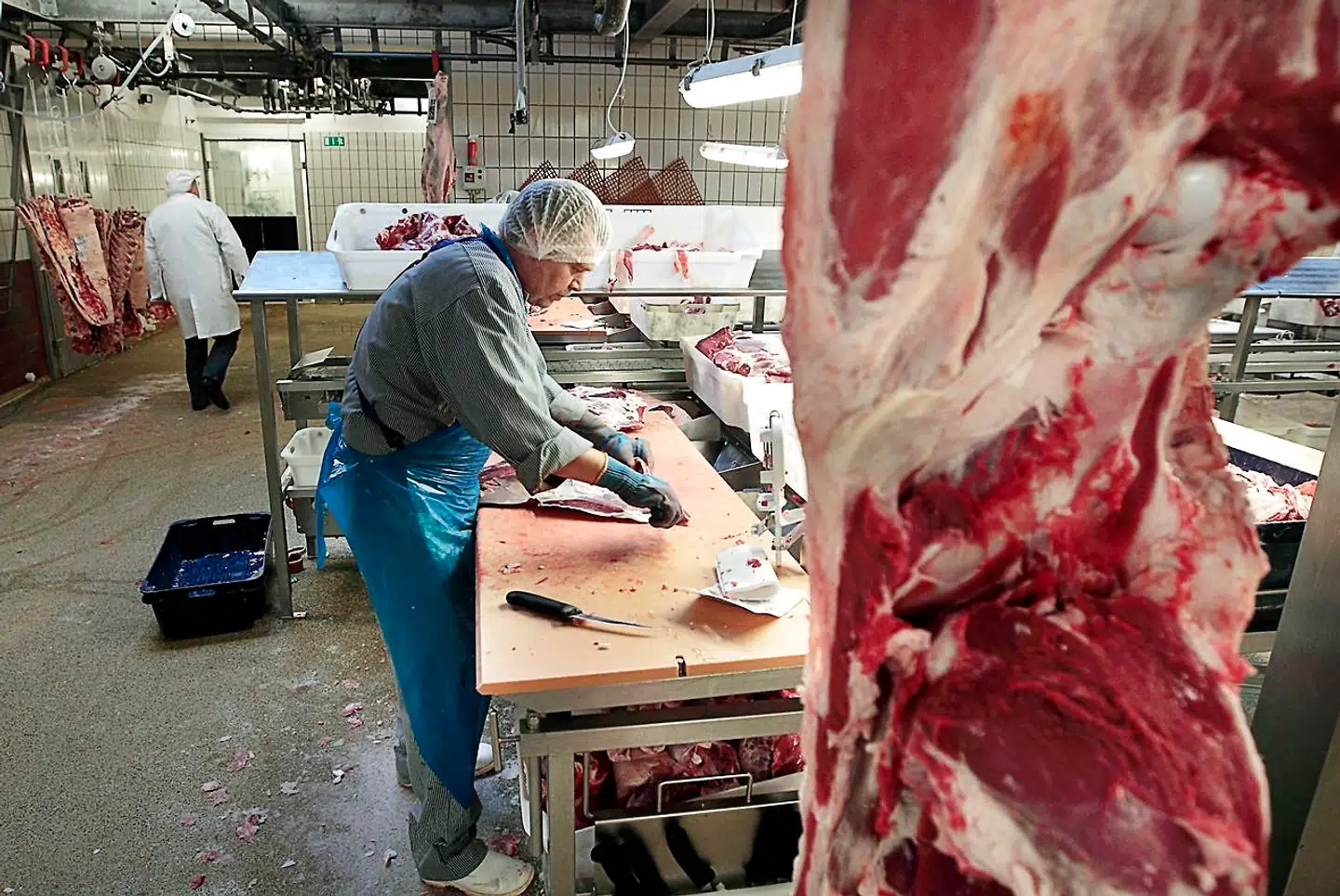 Der går mange udlændinge rundt på Danish Crown slagteriet i Ringsted.