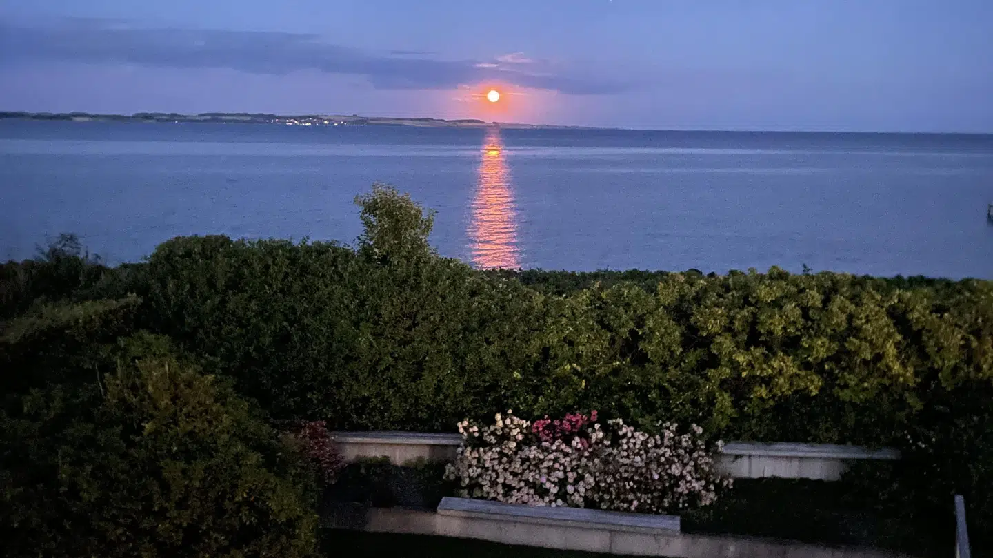 Aftenudsigten fra familiens terrasse.