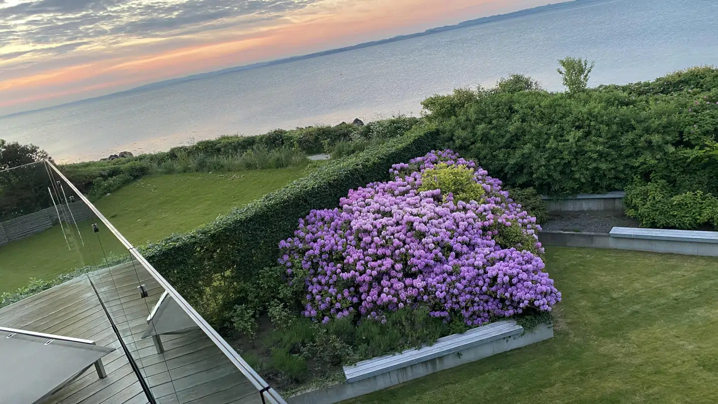 Bevoksningen i haven skærmer lidt for nysgerriges blikke fra stranden.