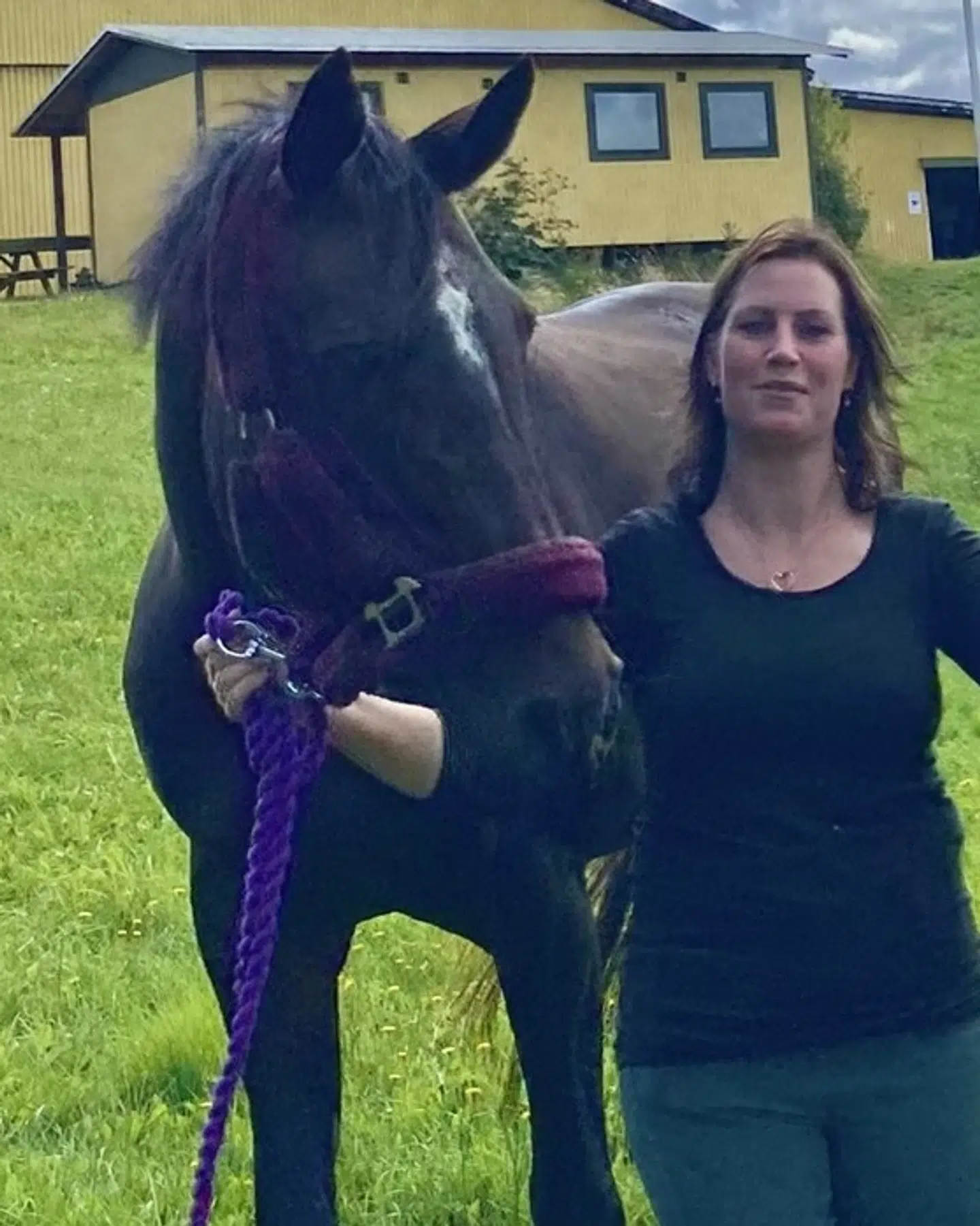 Da Mette Stentoft kom ud til sin hest morgenen efter overgrebet, var Florica urolig og ville umiddelbart ikke hilse på hende.