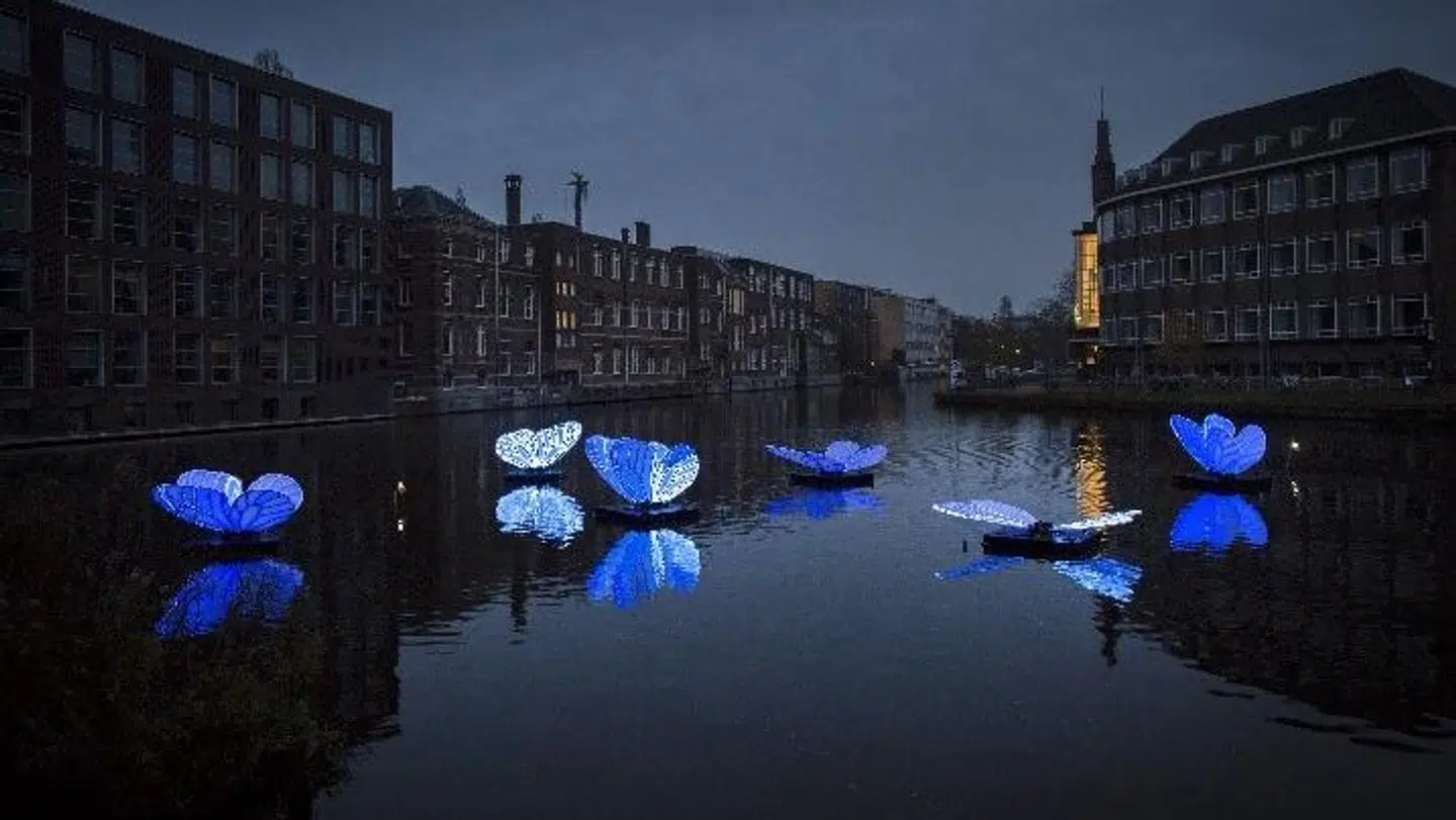 Butterfly Effect er et lysværk skabt af den japanske kunstner Masamichi Shimada. Du kan opleve installationen på dette års Aarhus Festuge.