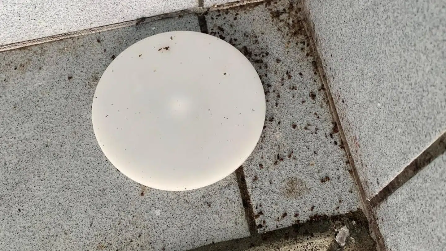 Der var også masser af skimmelsvamp i sommerhuset.