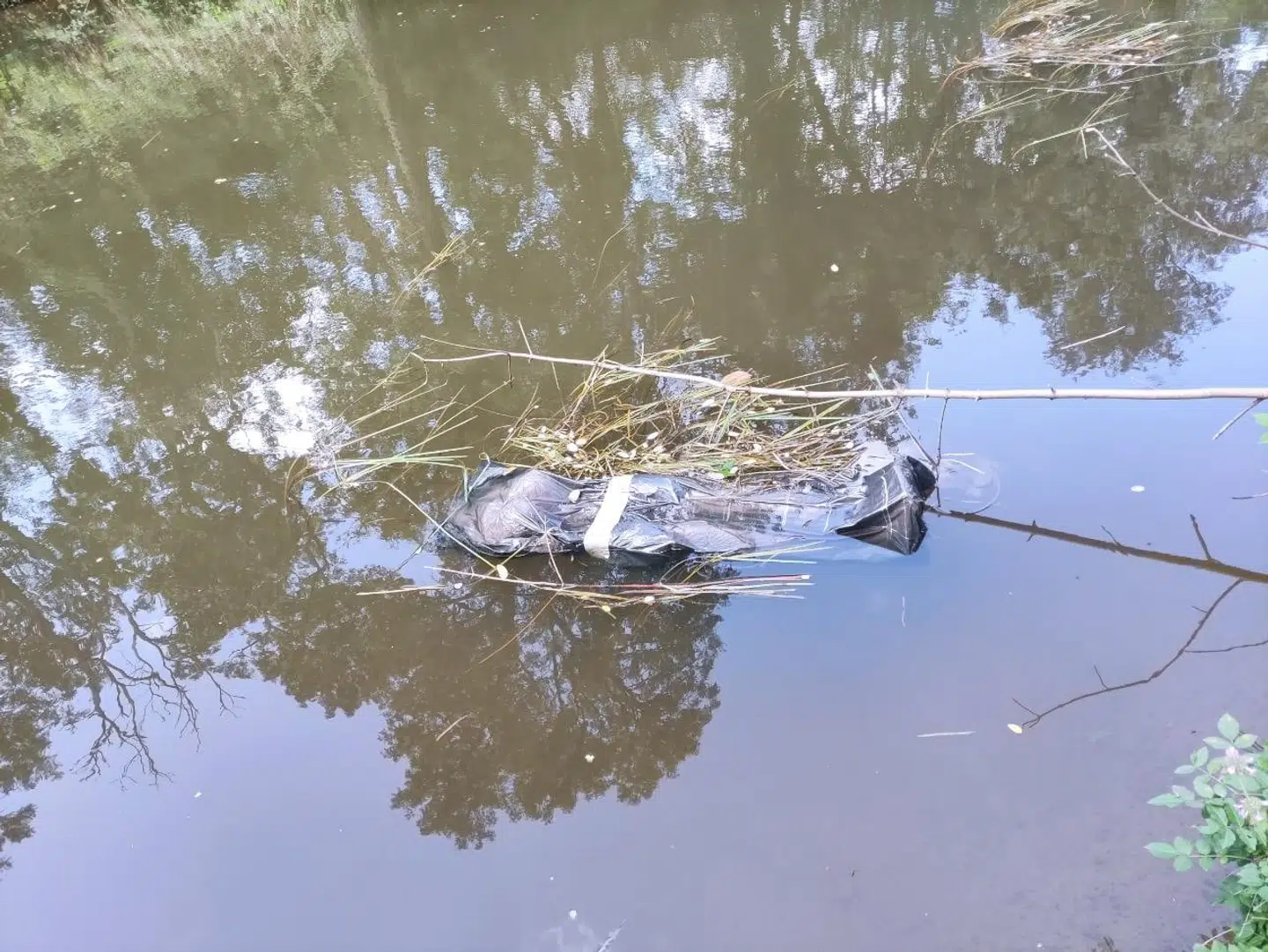 Sådan så det ud, da parret opdagede posen.