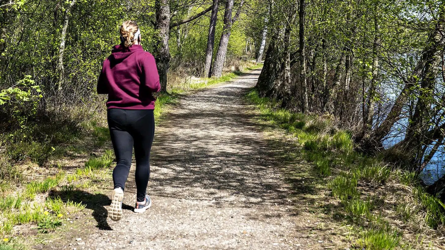 Flere motionister har den seneste tid besørget i Riis Skov i Aarhus (ARKIVFOTO)