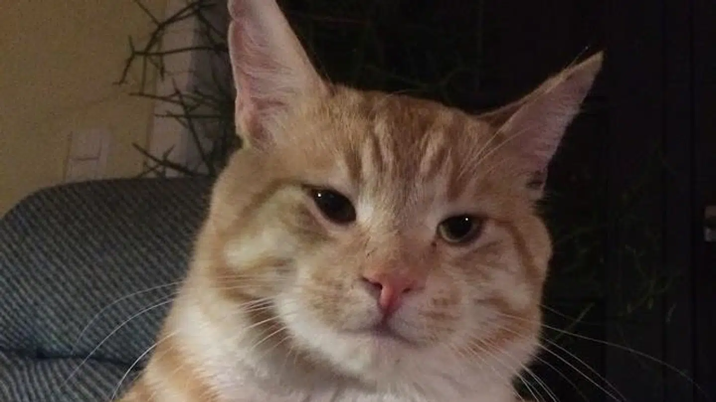 Esben Balle nåede at have Barolo i fem år. Foto: Privat