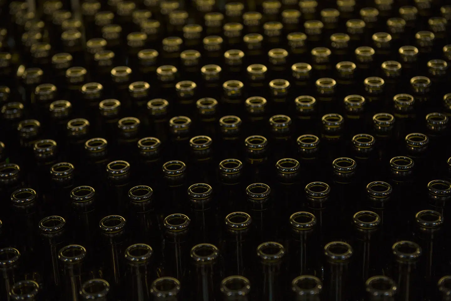 Der er blevet solgt godt med øl, og Royal Unibrew kommer ud af andet kvartal i 2021 med et godt resultat. (Arkivfoto) Søren Bidstrup/Ritzau Scanpix