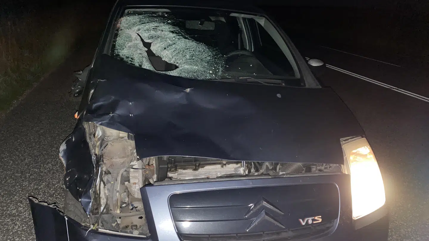 »Bilen er formodentligt totalskadet. Det er den og koen, som det er gået mest over,« fortæller Peter Kiil.