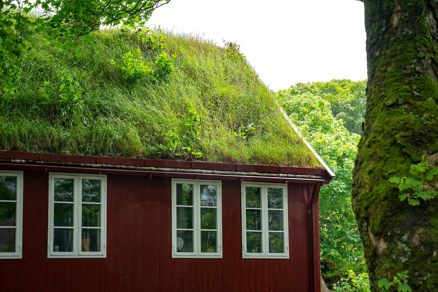 Der er græs på tagene på mange af de gamle huse. Mange af de små bygder ligner noget fra et eventyr