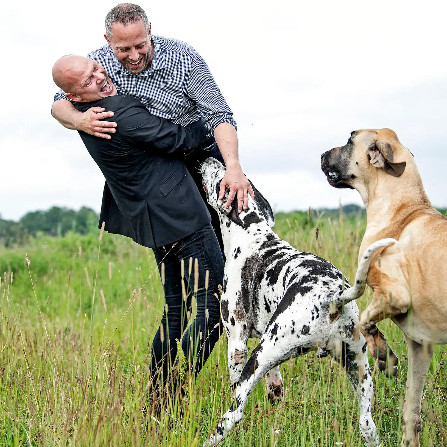Både Jim Lyngvild og hans mand Morten Paulsen er enige om, at de ikke vil have børn. De har rigeligt i hundene Ask og Teddy.