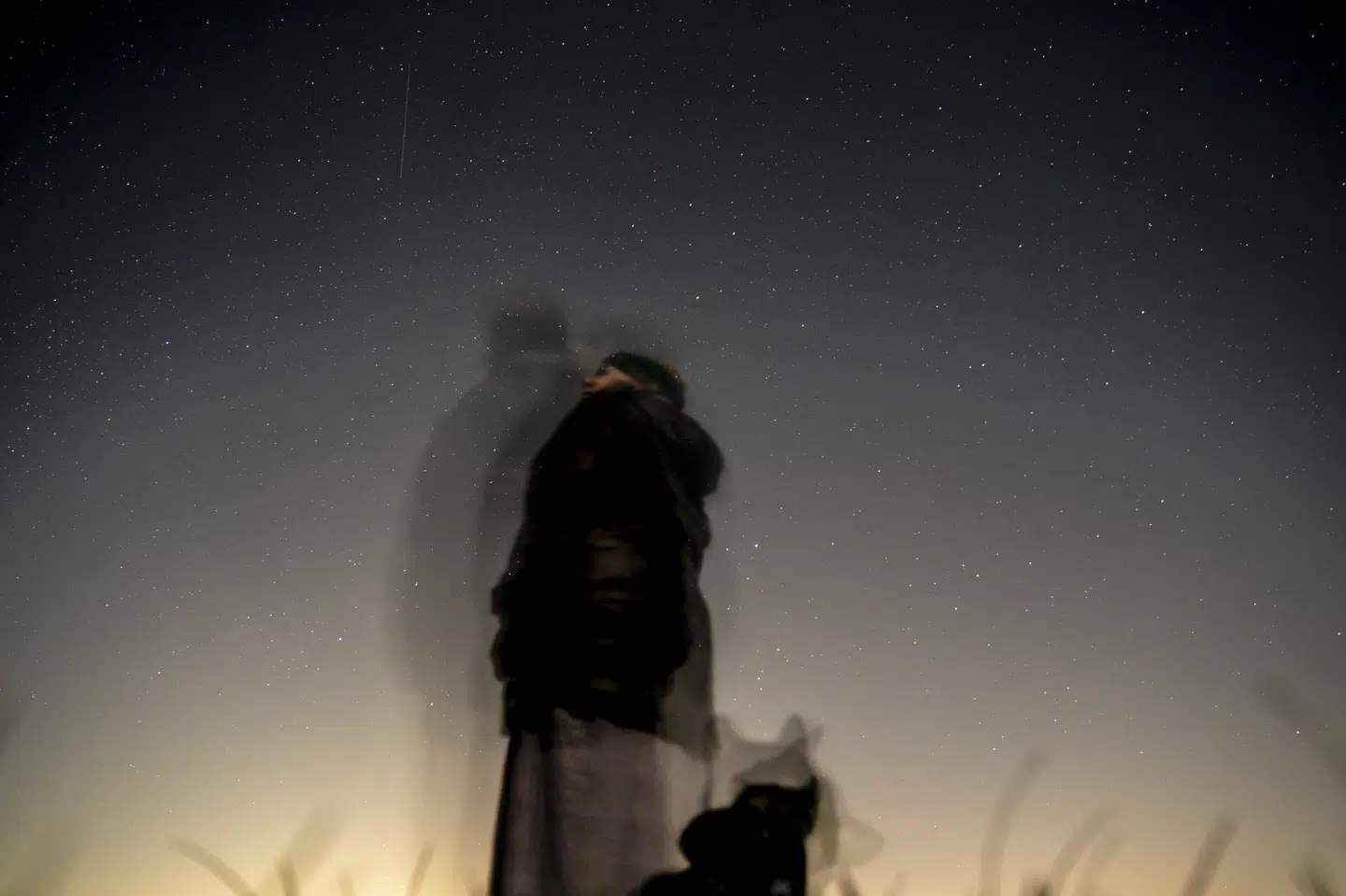 Natten til fredag vil himlen lyse op med 100 stjerneskud i timen. (Arkivfoto) Mads Claus Rasmussen/Ritzau Scanpix