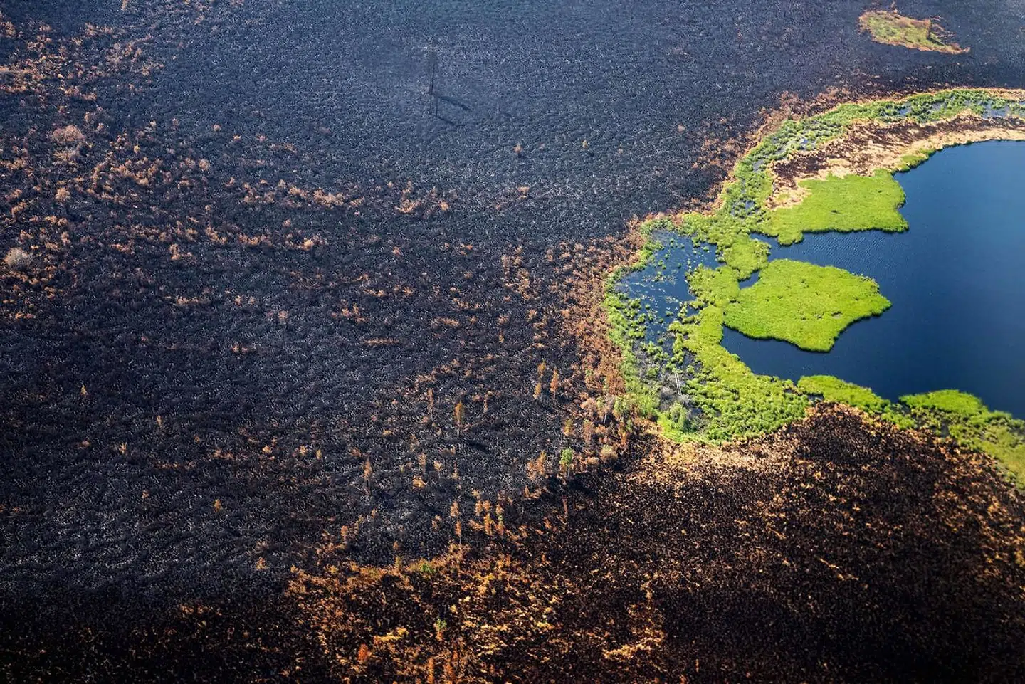 En skov i Gorny Ulus, vest for Yakutsk i Skaha-regionen, er brændt af.
