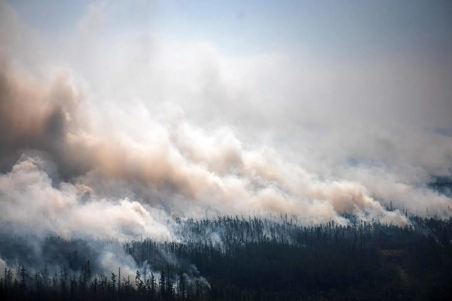 Røgen fra skovbrandene har spredet sig tusindvis af kilometer væk.