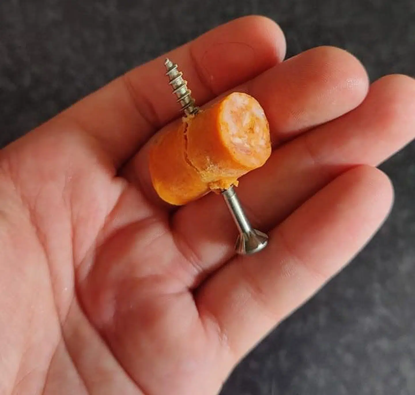 Sådan så det stykke pølse ud, som Omega pludselig tyggede i