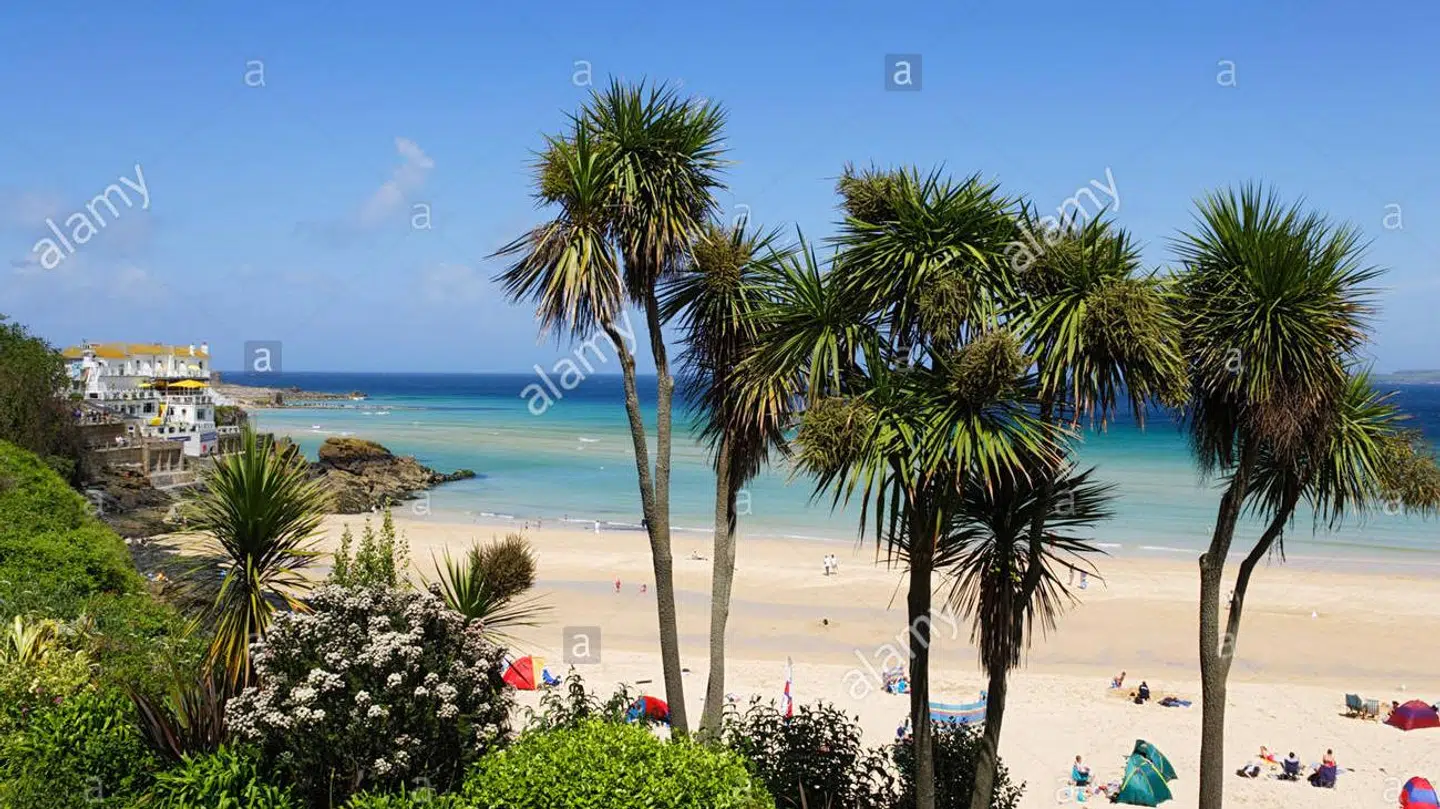 Palmerne svajer i Cornwall, Englands eneste område med subtropisk klima.