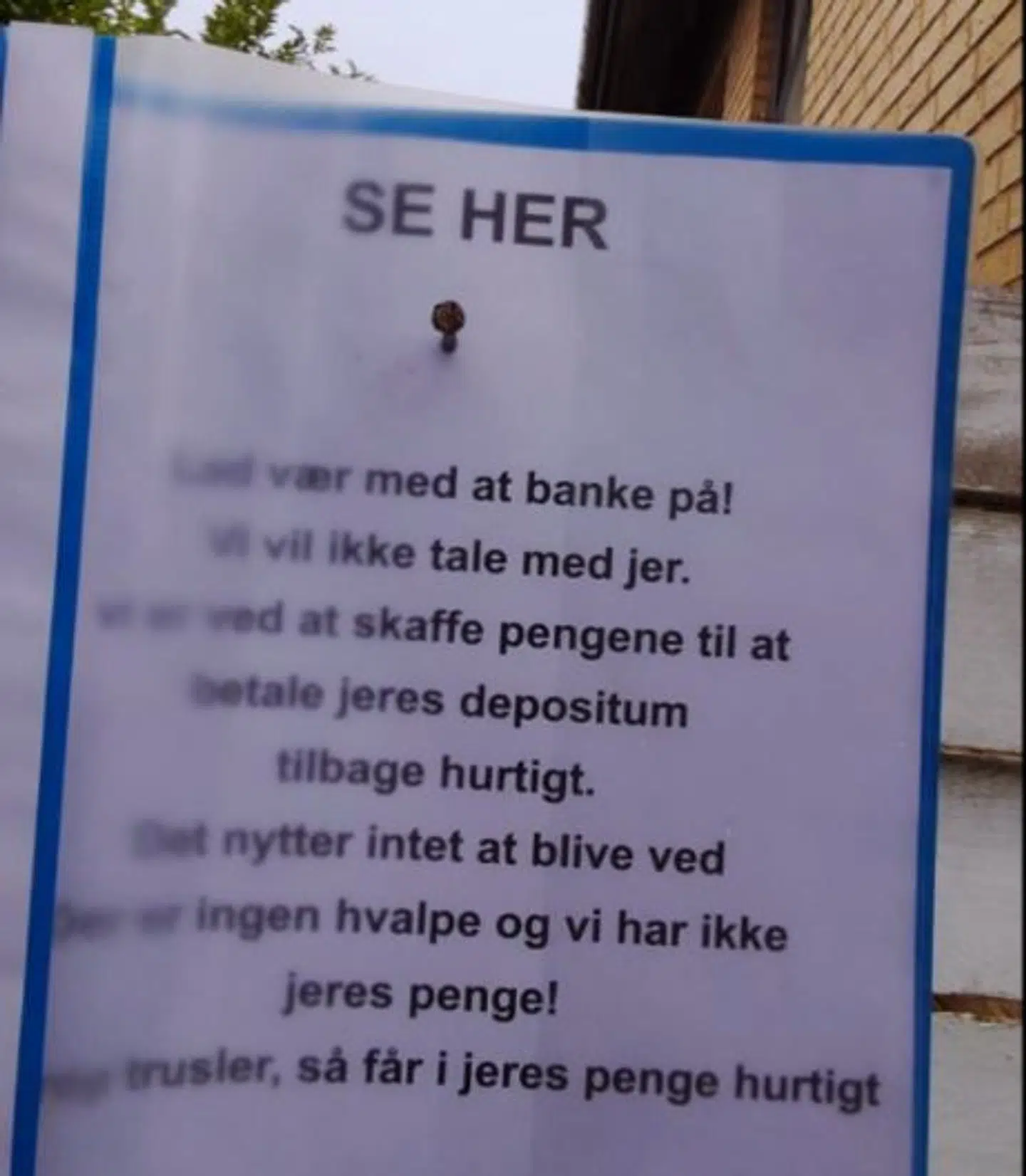 Sedlen hænger foran huset, hvor parret har vist hvalpe frem til enkelte af køberne.